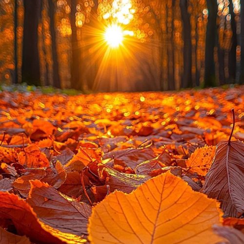 Autumn Reset: Why Your Home Needs To Follow The New Season